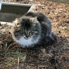 Макс Гагарин, 14.06.1985, Новосибирск