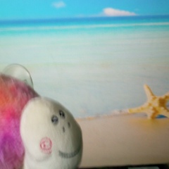 Jj Gg, 01.01.1902, Тирасполь