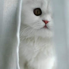 Людмила Гальченко, 07.08.1965, Полтава