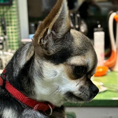 Екатерина Петрухина, 16.05, Санкт-Петербург