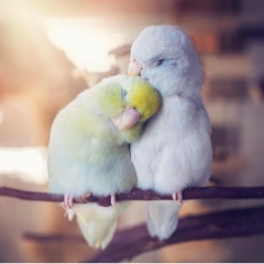 Гаухар Касым, 04.08.1993, Астана