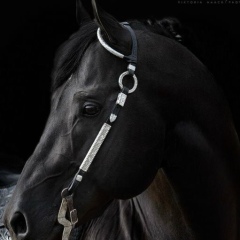 Балтабек Балтабек, 29.07.1972, Атырау