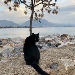 Эльвира Шамсиева, 14.08.1986, Казань