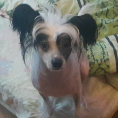 Евгений Цвирко, 27.06, Санкт-Петербург