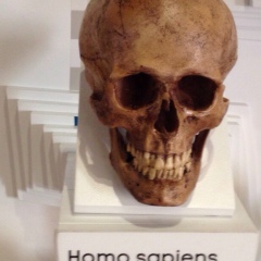 Владимир Трубачёв, 06.10, Новочеркасск