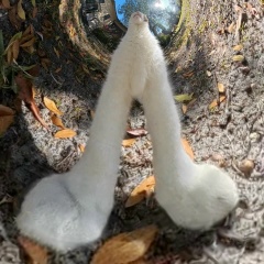 Станислав Шушкевич, 02.08.1986, Екатеринбург