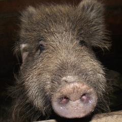 Филипп Болдырев, 16.03, Санкт-Петербург