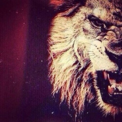 Rasul Nohcho, 27.06.1990, Грозный