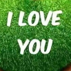 Avid Jee, 01.09.1984