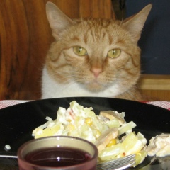 Олег Соколовский, 27.04, Сарыозек