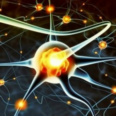 Дмитрий Ингберг, 09.12, Орша