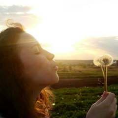 Вероника Соколова, Харьков