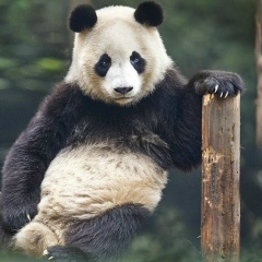 Андрей Царик, 17.04.1991, Минск