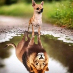 Рома Полев, 19.02.1977, Санкт-Петербург