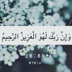 Ibrohim Abdukarimov, 10.11.1988