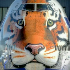 Полина Малина, 12.04, Благовещенск