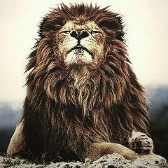 Азимжан Ниязкулов, 30.08