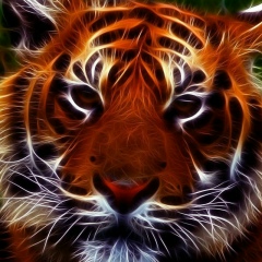 Федор Савкин, 18.12.1982, Москва