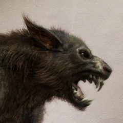 Астемир Коков, 11.10.1992, Москва