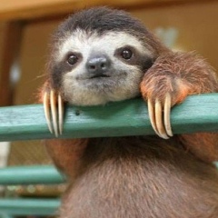 Амур Бозий, 07.03.1991