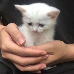 Виолетта Суевалова, 24.02.2001, Краснодар