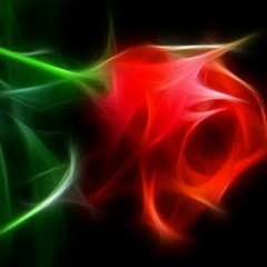 Ренат Нагин, Ульяновск