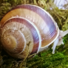 Анна Андрианова, 05.01, Новосибирск