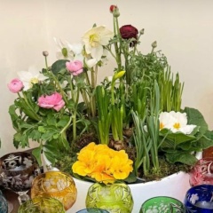 Анна Иванова