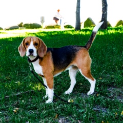 Анна Быстрова, 14.06.1983, Гродно