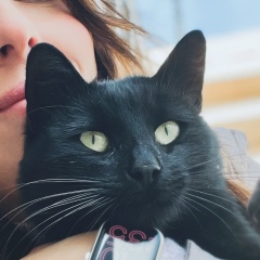 Злая Кошка, 27.02.1995, Москва