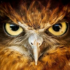 Evgeniy Strutter, 21.05.1990, Москва