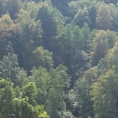 Оля Фурьянова, 12.06, Николаев