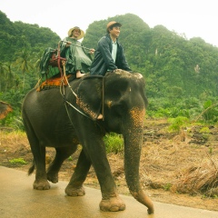 Андрей Цой, 17.06.1985, Москва
