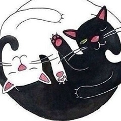 An Ches, 24.05, Москва