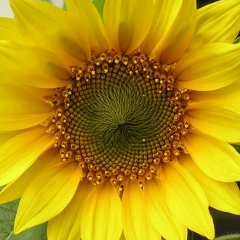 Салтанат Хасанова, 19.01, Актау