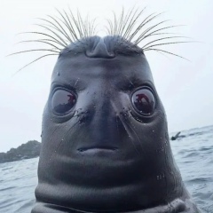 Алексей Андрющенко, 05.12.1990, Санкт-Петербург