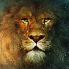 Ларина Михайловская, 04.12, Санкт-Петербург