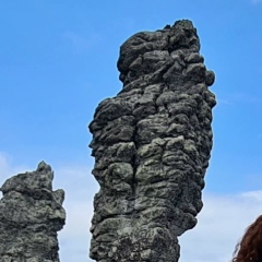 Женька Вздорнова, 03.07, Екатеринбург