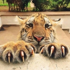 Dimko Free, 30.11, Уфа