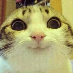 Tommy Syarg, 26.01.1993, Тбилиси