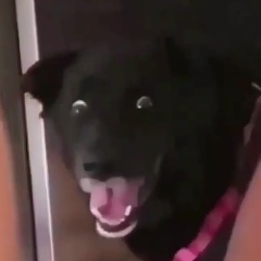 Guillegamer Guille, 31.08.2000, Mar del Plata