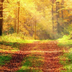 Мыктыбек Калмуратов, 03.03, Москва