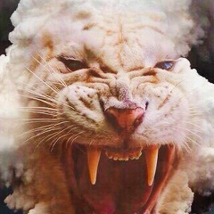 Руслан Золотарев, 21.10, Киев