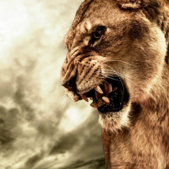 Соколов Алексей, 01.01, Санкт-Петербург