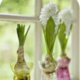 Денис Заказов, Киев