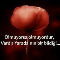 Tariyel Baxsiyev, 28.02.1979, Баку