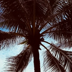 Светлана Пнева, 26.01, Тюмень