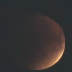 Егор Недлявсех, Санкт-Петербург