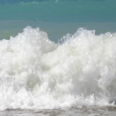 Андрей Черепнев, 12.11.1983, Онега