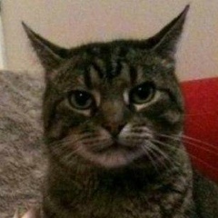 Виктор Страданченков, 12.06.1980, Новочеркасск